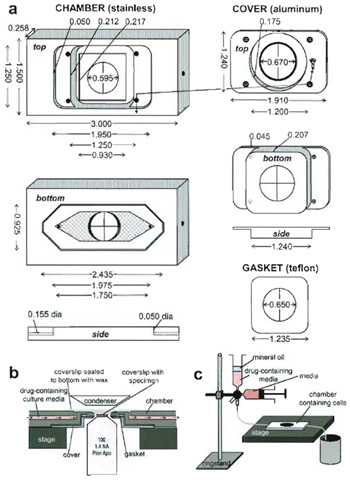 FIGURE 3 A custom-designed perfusion system for drug 
application during high-resolution FSM imaging. (a) 
Specifications for chamber design. The chamber is made 
of stainless steel, the top of aluminum, and the gasket of a 
0.005-in. Teflon sheet. Forty-five degree beveled areas 
are shown in dark gray, holes have crosses across them, 
and on the bottom of the chamber, the hatched areas are 
machined-in 0.007 in. to create the imaging chamber. (b) 
Cutaway side view of the chamber in operation on the 
microscope stage (not to scale). (c) Schematic of the 
setup used for drug perfusion.