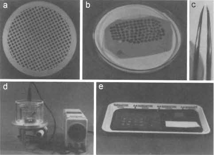 FIGURE 3 Materials and equipment required for negative staining. (a) Specimen support grid (e.g., 200 mesh/in, copper grid, 3.05 mm in diameter and 0.7 mm thick) coated with a collodion-carbon composite film (the support film is particularly evident at the edges). (b) The specimen support grids are stored on filter paper in a covered petri dish (the cover is removed for clarity). (c) Precision forceps with the jaws slightly bent inwards are used for all manipulations. (d) The specimen grids are rendered hydrophilic in a reduced atmosphere of air using a custom-built glow-discharge unit (for the design, see Aebi and Pollard, 1987). The specimen grids are glow discharged on a small glass block that is covered with Parafilm (see arrowhead). (e) A plastic or metal tray serves as the "workbench" for staining. The water and stain drops are placed on a piece of Parafilm on the left, the glass block with a glow discharged grid is seen on right at the back, and a piece of filter paper is depicted in the front.