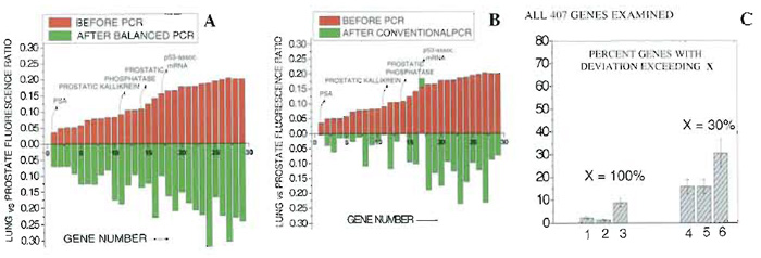 FIGURE 3 Comparison of relative expression of lung vs prostate specifically for the 30 genes highest upregulated in prostate vs lung. (A) Amplification conducted using the current balanced PCR method. (B) Amplification conducted by performing conventional PCR, separately on lung and prostate cDNA samples. (C) Fraction of genes whose relative expression among prostate and lung changes by more than 100% (columns 1-3) or 30% (columns 4-6) following PCR amplification. Columns 1 and 4, repeated application of the same sample on microarrays. Columns 2 and 5, amplification via balanced PCR. Columns 3 and 6, amplification via conventional PCR. Reproduced with permission from Nature Publishing Group.