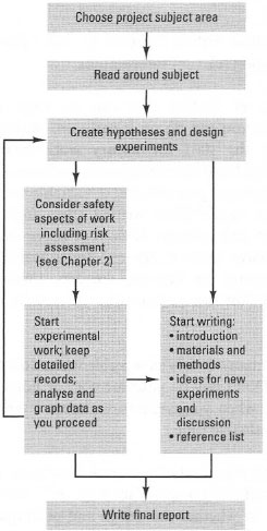 Flowchart showing a recommended sequence of events in carrying out an undergraduate research project.
