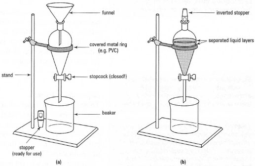 A separatory funnel (a) ready to use and (b) in use.