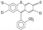 Structure of dichlorofluorescein.