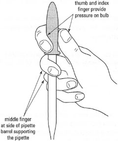 How to hold a Pasteur pipette.