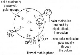 Adsorption chromatography (polar stationary phase).