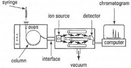 Schematic diagram of a GCMS