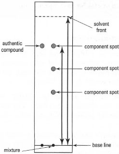 A thin-layer chromatogram
