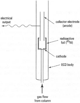 Components of an electron capture detector (ECD).