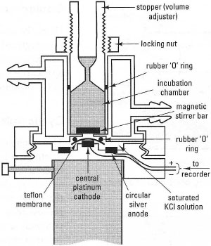 Transverse section through a Clark (Rank) oxygen electrode.
