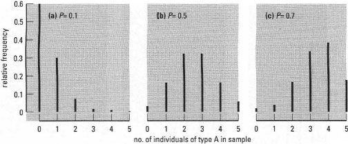 Examples of binomial frequency distributions with different probabilities. The distributions show the expected frequency of obtaining n individuals of type A in a sample of 5. Here P is the probability of an individual being type A rather than type B