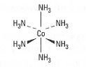 Structure of hexaamminecobaltate.