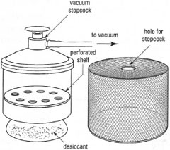 Vacuum desiccator (with mesh safety cage).