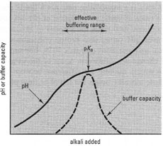 Theoretical pH titration curve for a buffer solution. pH change is lowest and buffer capacity is greatest at the pKa of the buffer solution.
