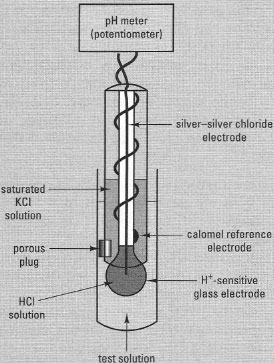 Measurement of pH using a combination pH electrode and meter. The electrical potential difference recorded by the potentiometer is directly proportional to the pH of the test solution.