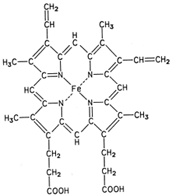 Structure of heme.