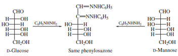 Formation of phenylosazone from D-glucose or D-mannose. The loss of asymmetry at C-2 yields identical products.