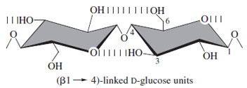 The repeating unit of cellulose showing hydrogen bond interactions. The extended structure allows chains to stack via the relatively hydrophobic axial faces of the pyranose rings.