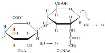 Repeating unit of hyaluronate. This polysaccharide is distributed throughout connective tissue and is the only mammalian polysaccharide not covalently attached to protein.