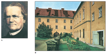 A, Gregor Johann Mendel. B, The monastery in Brno, Czech Republic, now a museum, where Mendel carried out his experiments with garden peas.