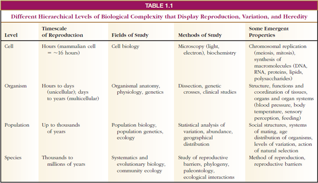 Different Hierarchical Levels of Biological Complexity that Display Reproduction, Variation, and Heredity