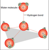 Geometry of water molecules. Each water molecule is linked by hydrogen bonds (dashed lines) to four other molecules. If imaginary lines are used to connect the divergent oxygen atoms, a tetrahedron is obtained