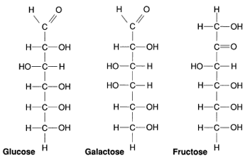 These three hexoses are the most common monosaccharides.