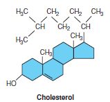 Cholesterol, a steroid. All steroids have a basic skeleton of four rings (three 6-carbon rings and one 5-carbon ring) with various side groups attached.
