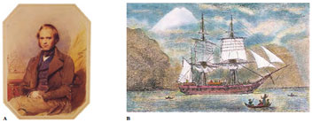 Charles Darwin and H.M.S. <em>Beagle</em>. A, Darwin in 1840, four years after the <em>Beagle</em> returned to England, and a year after his marriage to his cousin, Emma Wedgwood. B, The H.M.S. <em>Beagle</em> sails in <em>Beagle</em> Channel, Tierra del Fuego, on the southern tip of South America in 1833. The watercolor was painted by Conrad Martens, one of two official artists during the voyage of the <em>Beagle</em>.