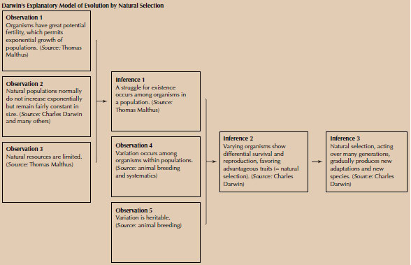 What is Natural Selection (and why it is not 'survival of the fittest')?