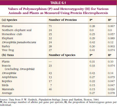 Values of Polymorphism (P) and Heterozygosity (H) for Various Animals and Plants as Measured Using Protein Electrophoresis