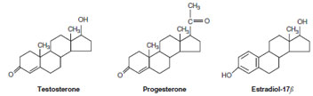 Sex hormones. These three sex hormones show the basic four-ring steroid structure. The main female sex hormone, estradiol (an estrogen) is a C18 (18-carbon) steroid with an aromatic A ring (first ring to left). The main male sex hormone testosterone (an androgen) is a C19 steroid with a carbonyl group (C£O) on the A ring. The female sex hormone progesterone is a C21 steroid, also bearing a carbonyl group on the A ring.