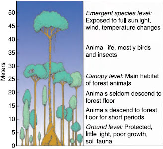 the biosphere and animal distribution, distribution of life on earth, biosphere and its subdivisions, terrestrial environments biomes, temperate deciduous forest, coniferous forest, tropical forest, grassland, tundra, desert, inland waters, oceans, animal distribution zoogeography, disjunct distributions, distribution by dispersal, distribution by vicariance, continental drift theory