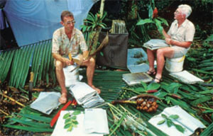 Botanists are photographed in Guyana 