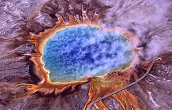 Archaea were first detected in extreme environments, such as volcanic hot springs.