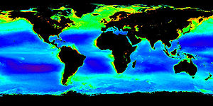 Image of plankton in the oceans; archaea form a major part of oceanic life.