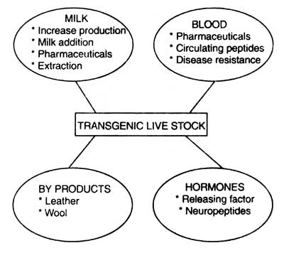 Transgenic Animals - Animal Biotech