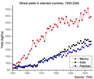 Wheat yield in selected countries