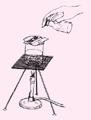 A simple method for applying heat when staining smears, using the endospore stain technique.