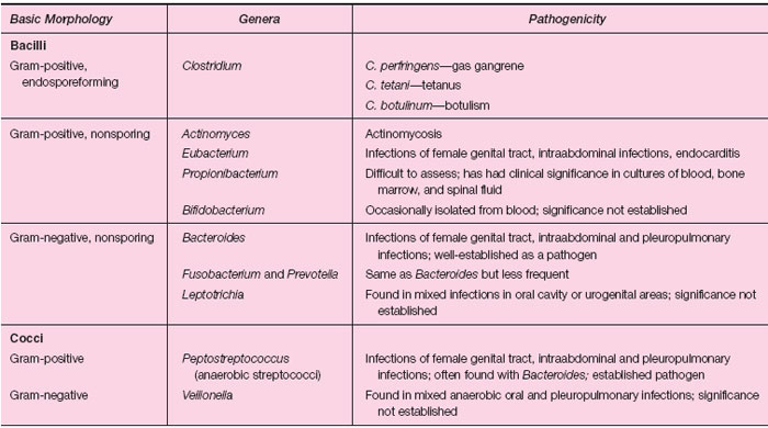 Rightwings Aerobic And Anaerobic Bacteria List