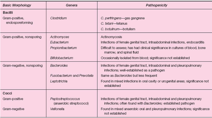 Some Important Genera of Anaerobic Bacteria