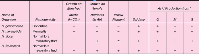 Differentiation of Some Neisseria species