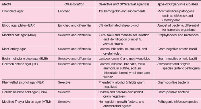 Bacterial culture media, classification and types of bacterial media