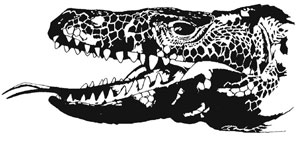 Megalania prisca 