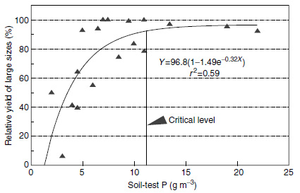 Critical soil-test phosphorus levels for large, harvest-size celery on Florida Histosols