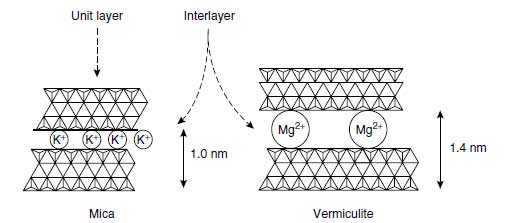 Scheme of a K+-contracted interlayer of mica or illite and of vermiculite interlayer expanded by Mg2+