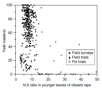 Relationship between N:S ratio in young leaves of oilseed rape at stem extension and relative seed yield