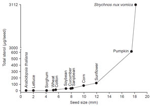 FIGURE 9.10 Correlation of the sterol content with the increase in size of seeds. From unpublished data.
