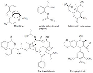 FIGURE 11.1 Chemical structures of some important medicinal compounds.