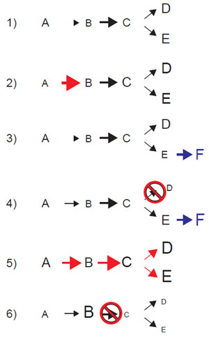 FIGURE 11.7 Strategies for overcoming the limitations in the production of metabolites in plant cells. (1) Preexisting pathway, (2) overexpression of rate-limiting (early) step to clarify the regulation and to overproduce metabolites, (3) creation of a new branch pathway to produce novel compound F and to increase the sink strength, (4) reducing an undesired pathway to enhance the metabolic flow to a desired path, (5) overexpression of transcriptional factor(s) to activate the entire biosynthetic pathway simultaneously, (6) mutation/downregulation of gene expression of biosynthetic enzyme to accumulate the intermediate of pathway. (See Page 21 in Color Section.)