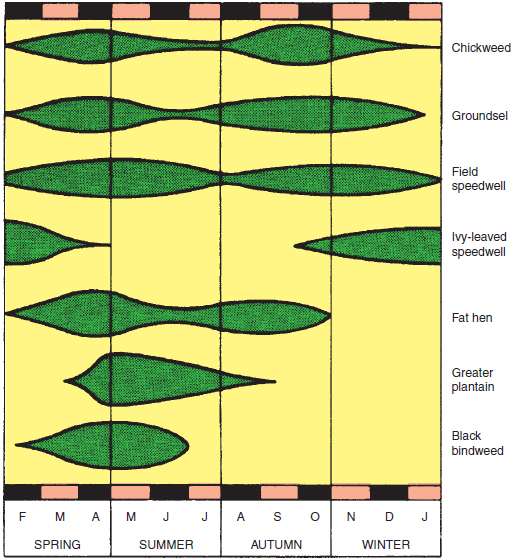 Figure 13.6 Annual and perennial weeds : periods of seed germination. Note that chickweed, groundsel and field speedwell seeds germinate throughout the year. Many other species are more limited. (Reproduced by permission of Blackwell Scientific Publications)