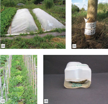 Figure 16.2 (a) Horticultural fleece used to protect from pests (b) P lastic guard used against rabbits and deer (c) Lettuce planted to attract slugs away from tomatoes (d) Slug trap that avoids bird-poisoning